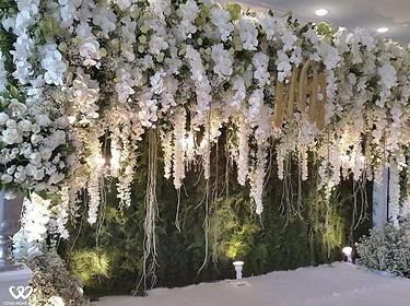Backdrop Chụp ảnh đẹp Hoa Trắng Lá Xanh