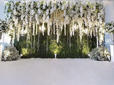 Backdrop Chụp ảnh đẹp Sang Trọng