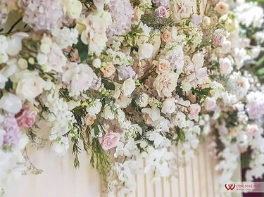 Backdrop Chụp ảnh đẹp Tông Hồng Pastel (3)