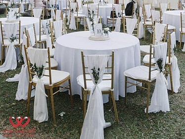 Cho thuê bàn ghế Tiffany tiệc cưới