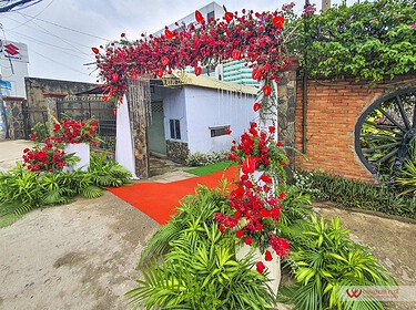 Trang trí cổng hoa đám cưới tại nhà