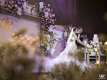 Trang Trí Lối đi Sân Khấu Hoa Thạch Thảo Trắng (9)
