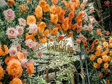Trang Trí Cổng Hoa đám Cưới Lễ Gia Tiên Tông Màu Cam (2)