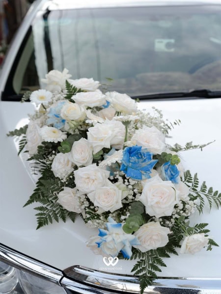 Xe Hoa Rước Dâu