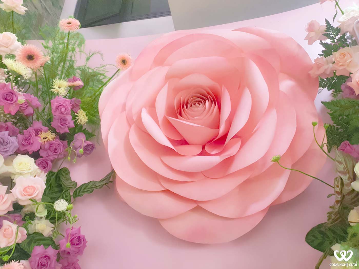 Phông Cưới Lễ Gia Tiên Tím Hồng