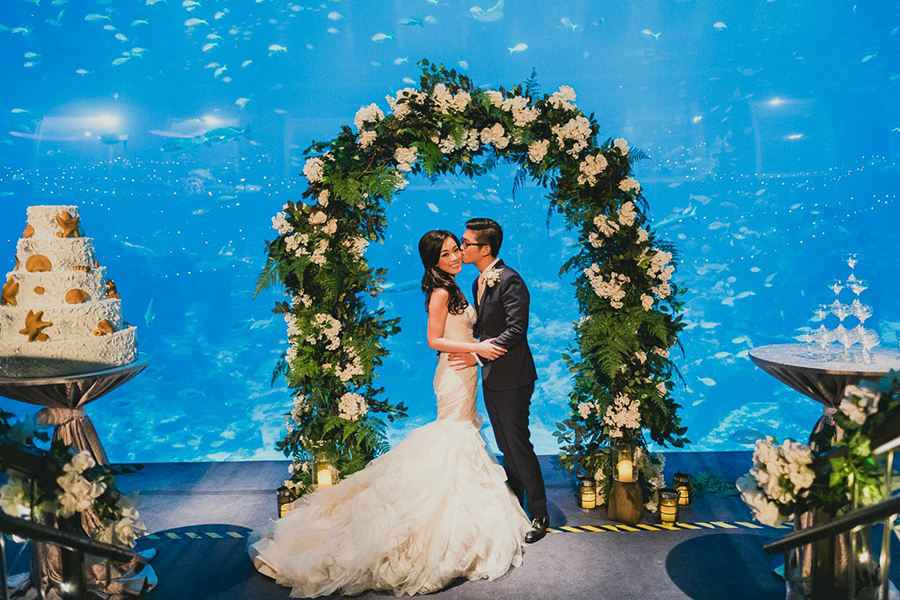Tiệc cưới dưới lòng đại dương 